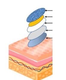Transdermal Patch Application and Skin Layers
