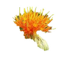 SAFFLOWER